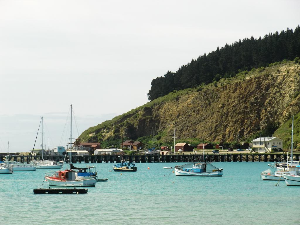 Oamaru Green Cottage Ngoại thất bức ảnh